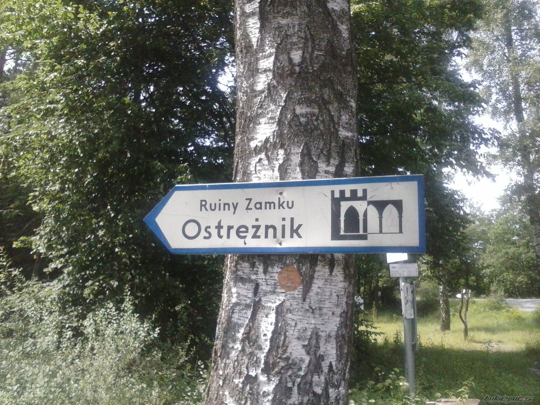 Photo 2575774