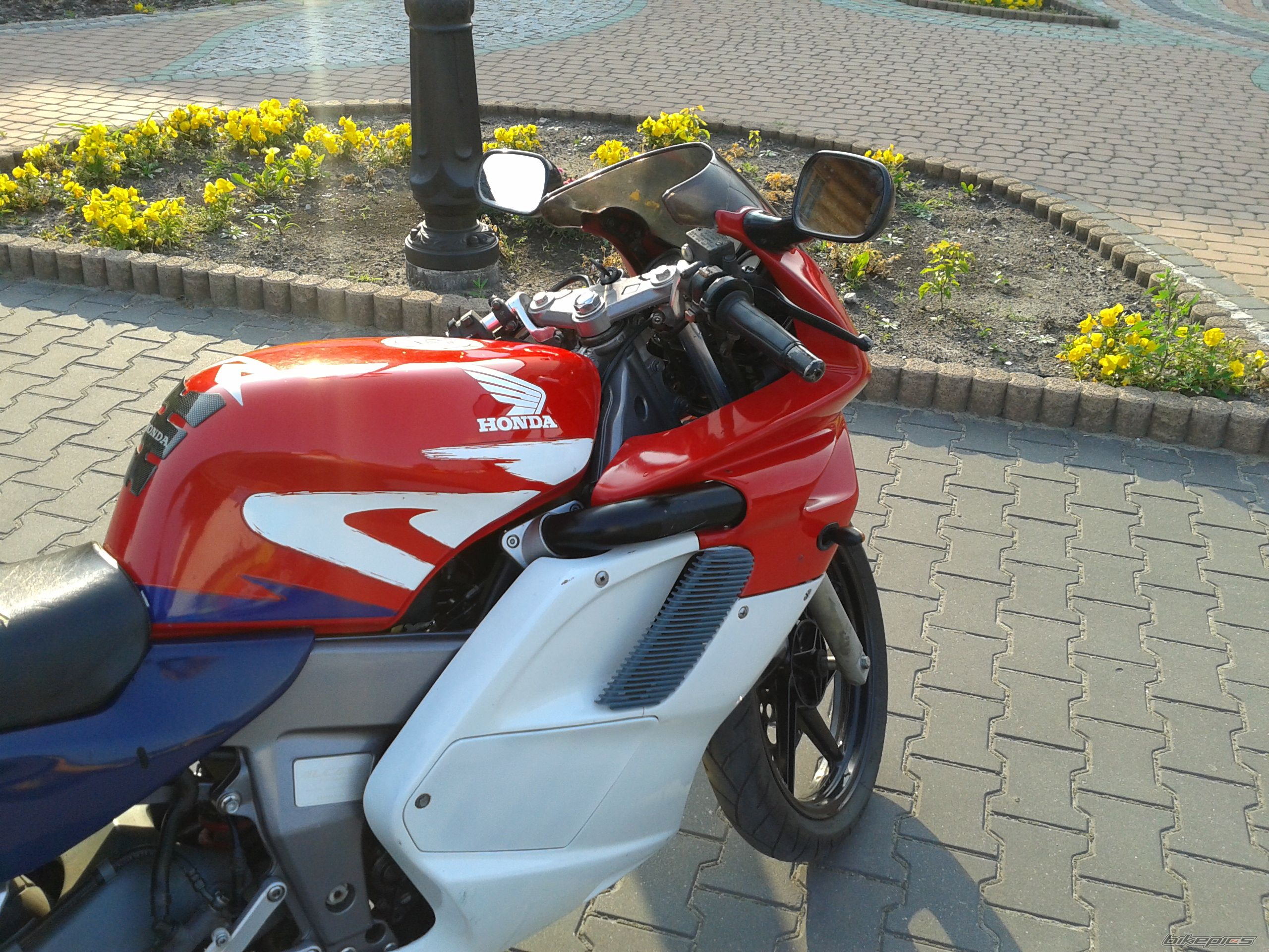 Photo 2575844