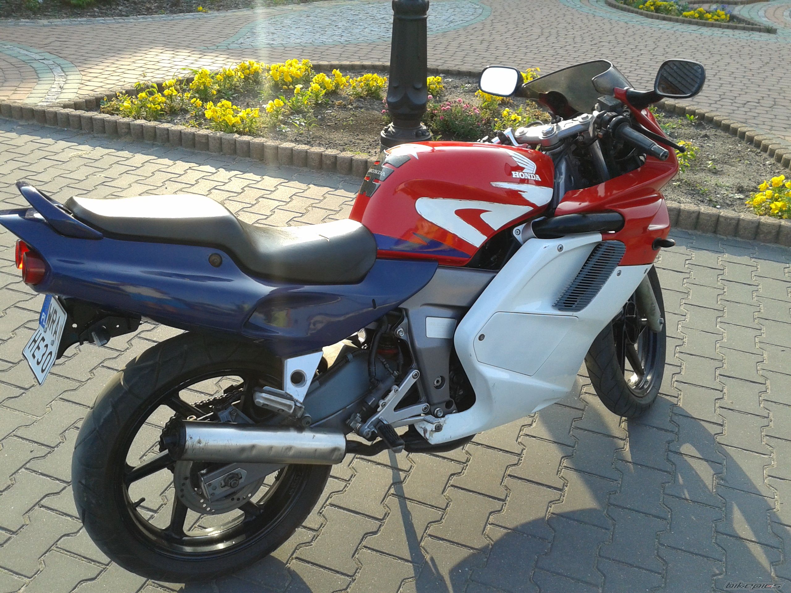 Photo 2575849
