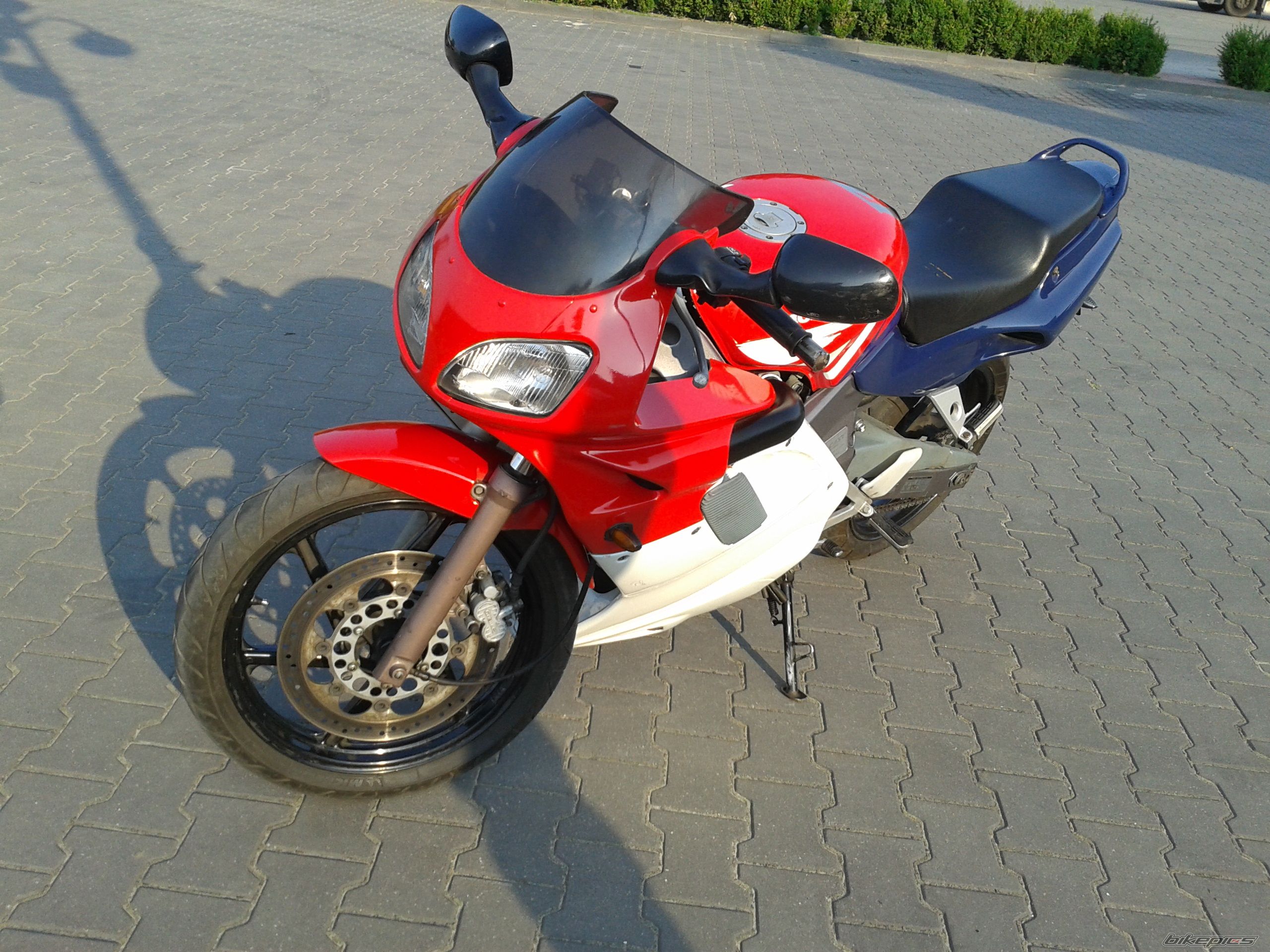 Photo 2575857
