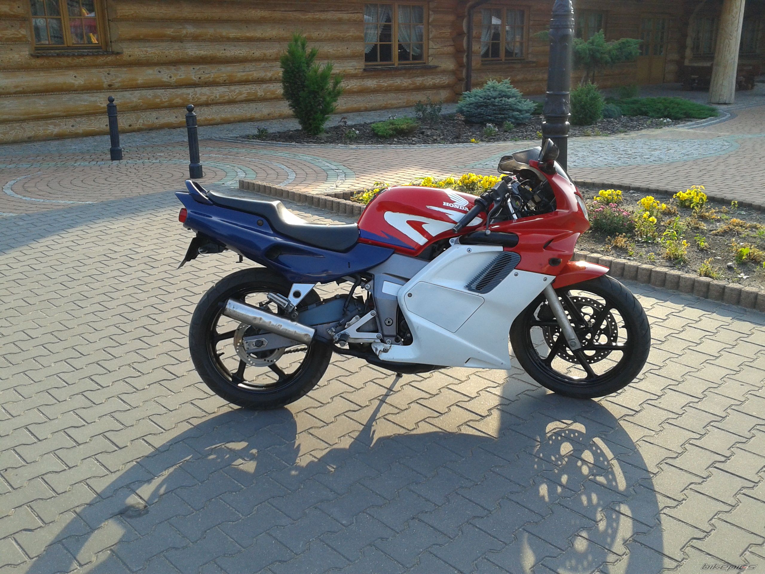Photo 2575864