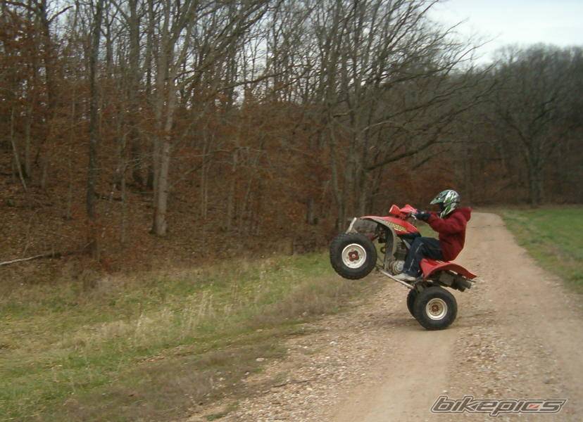 Bike Photo 257587