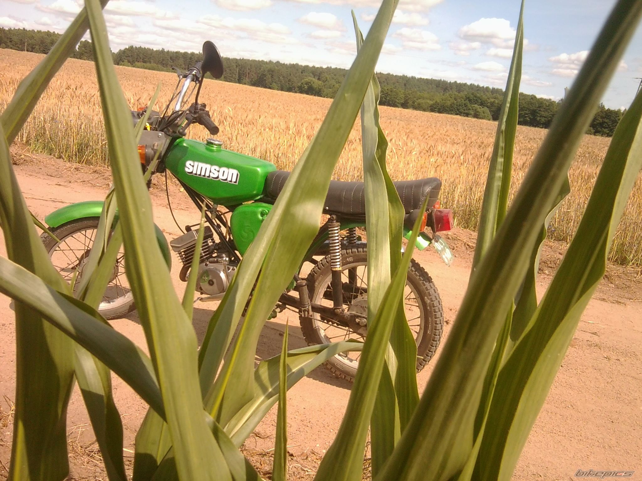 Photo 2575904