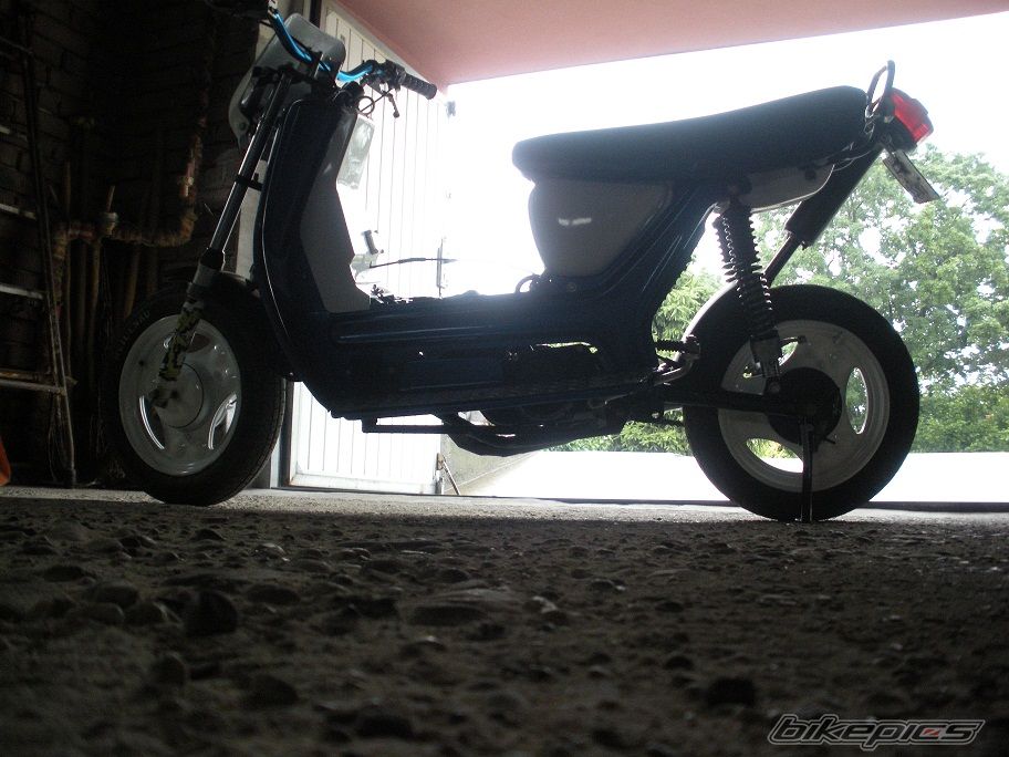 Photo 2575926