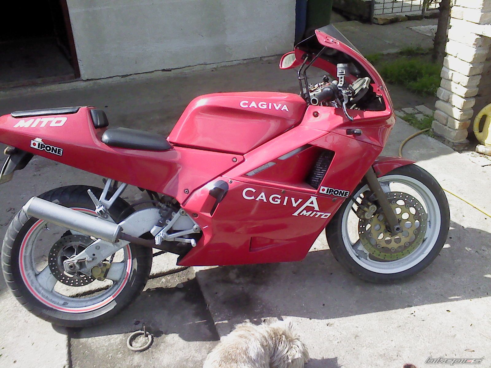 Photo 2575933