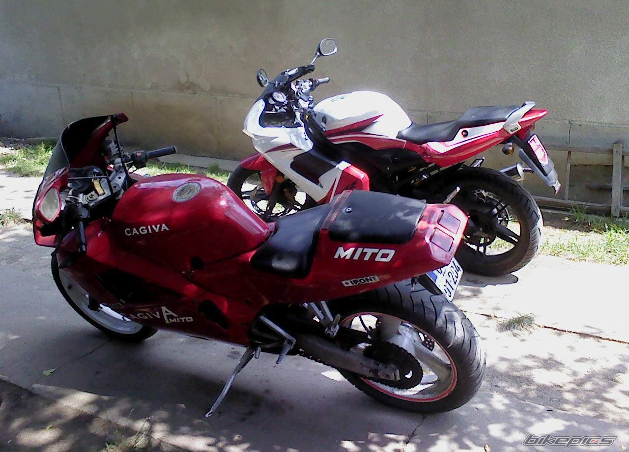 Photo 2575935