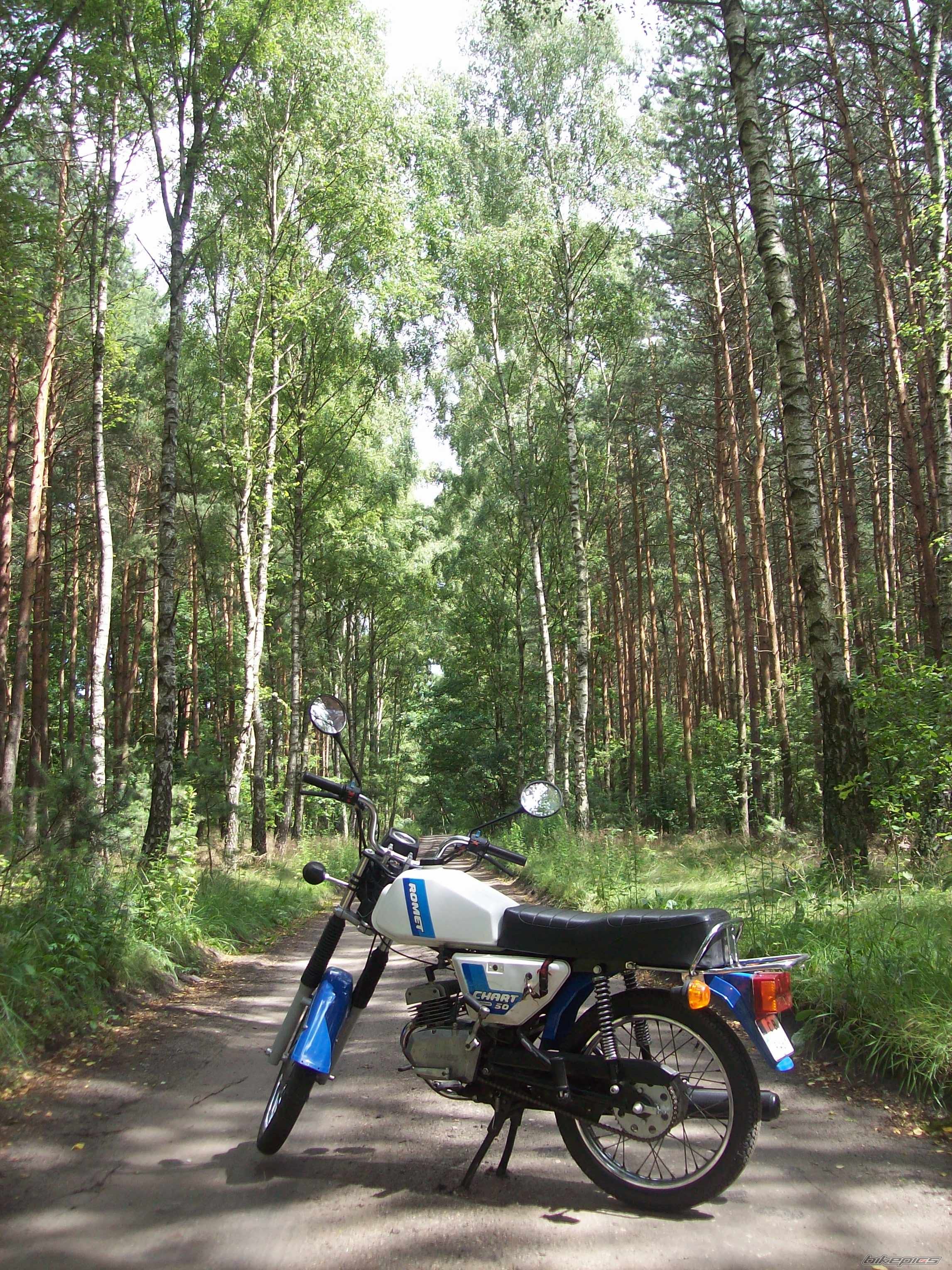 Photo 2575977