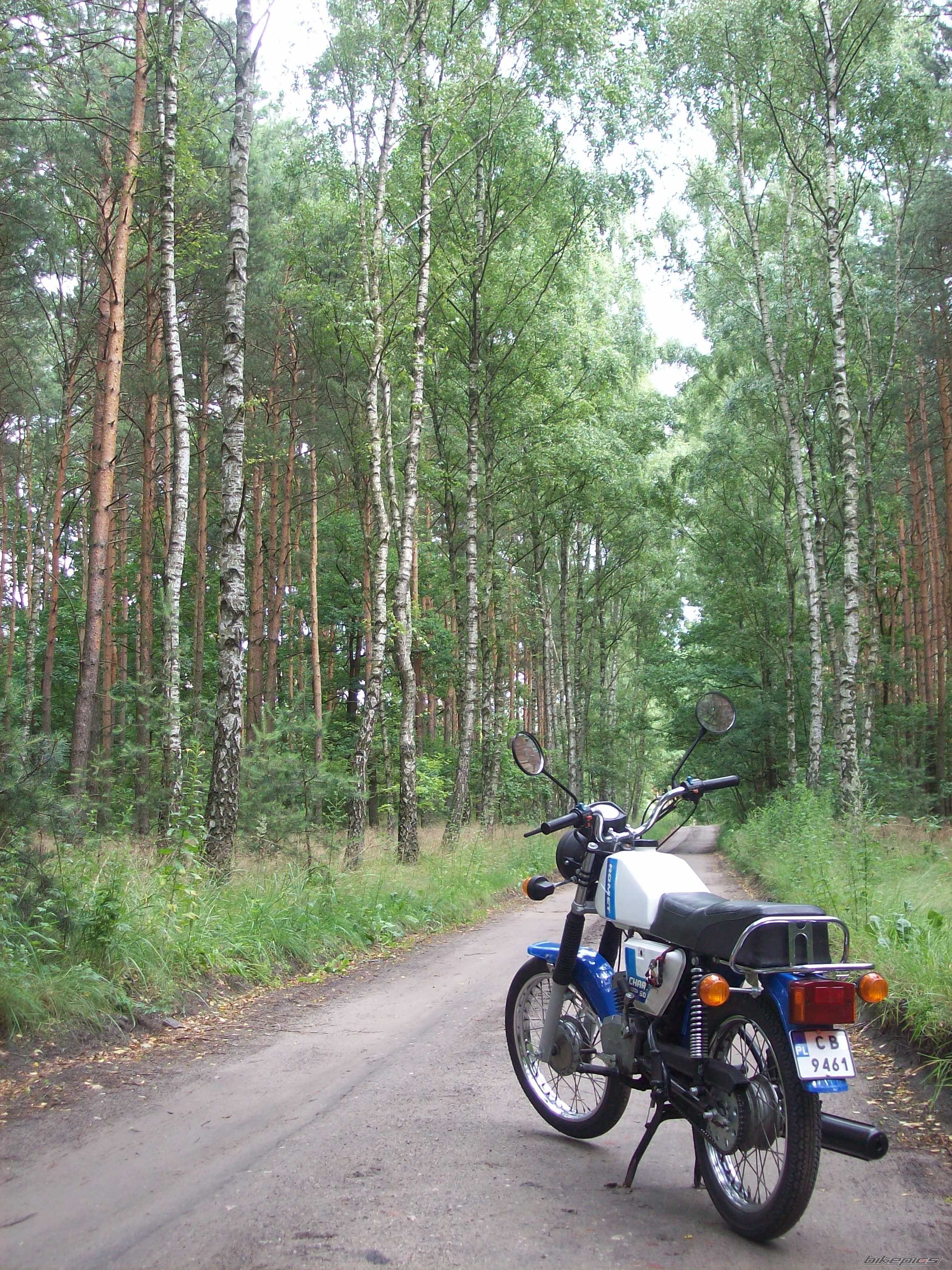 Photo 2575979