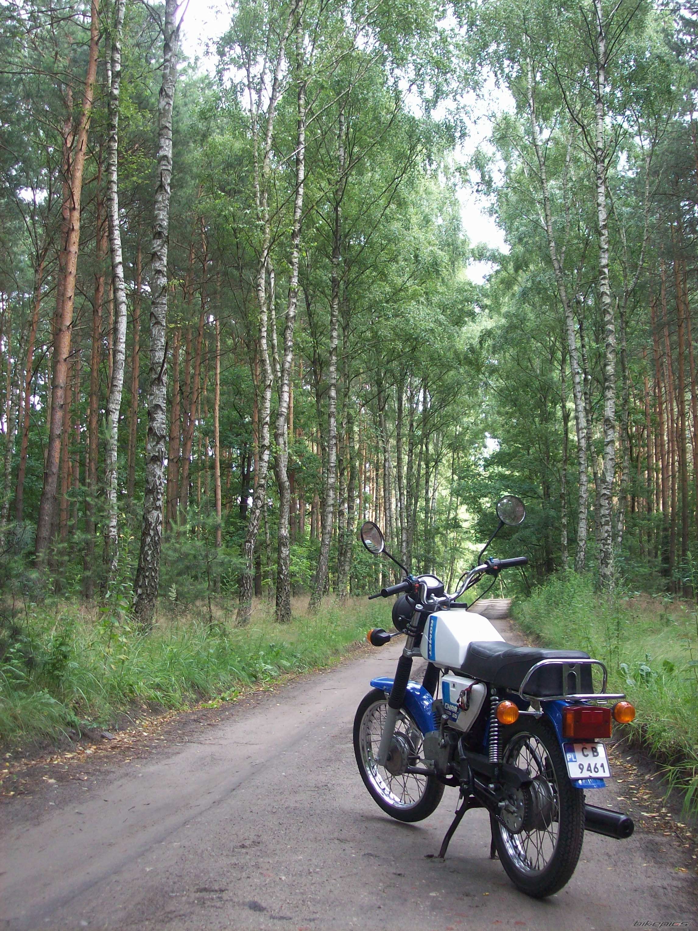 Photo 2575982
