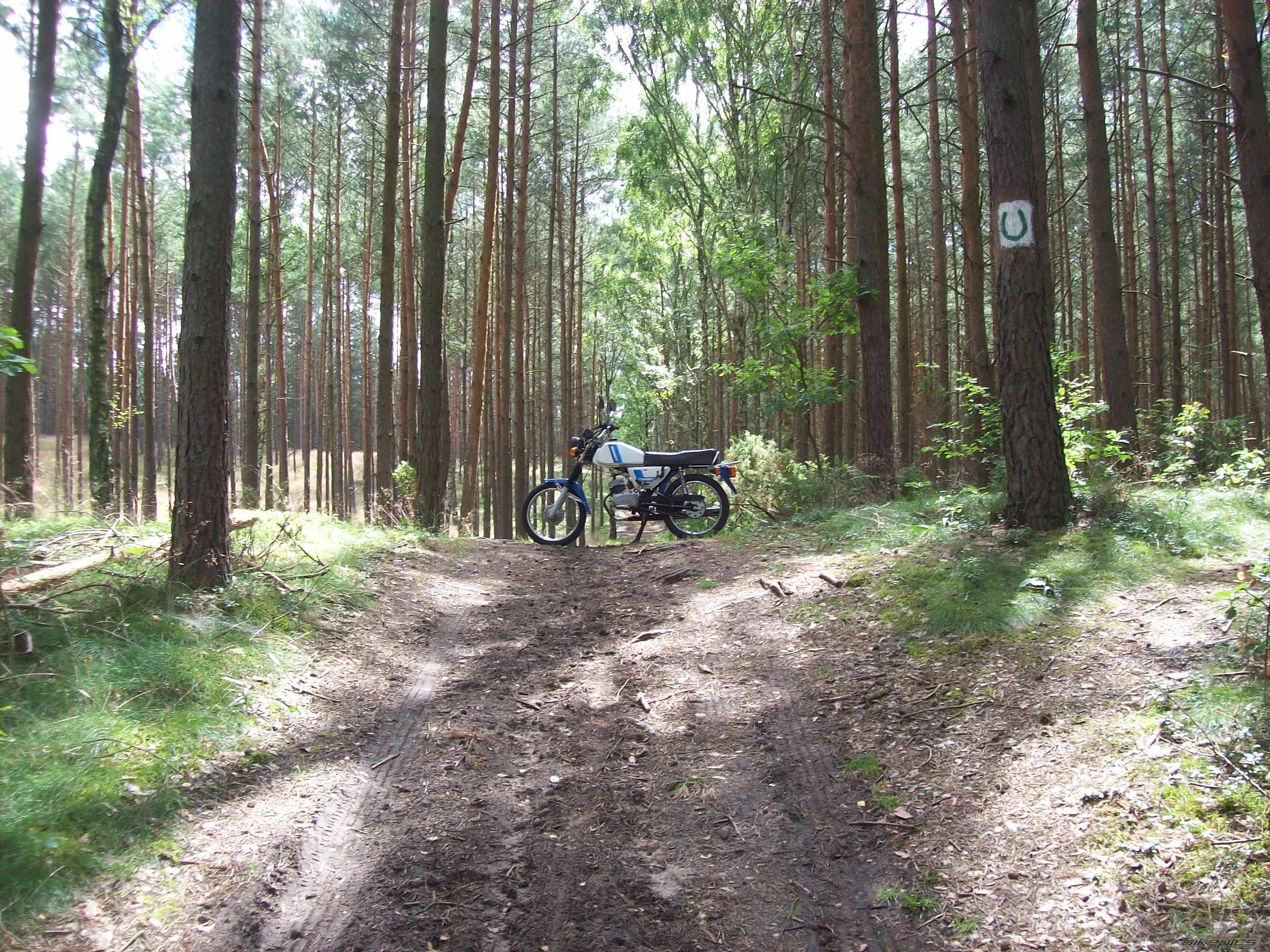 Photo 2575984