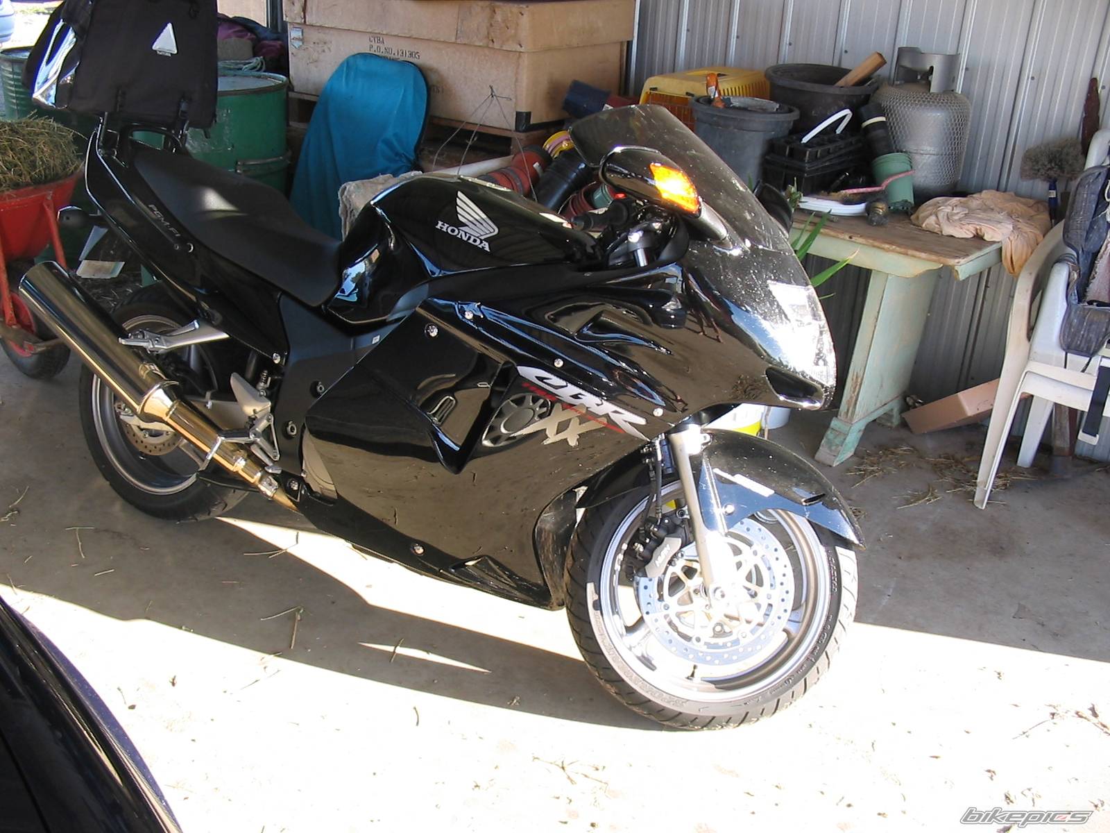Photo 257603