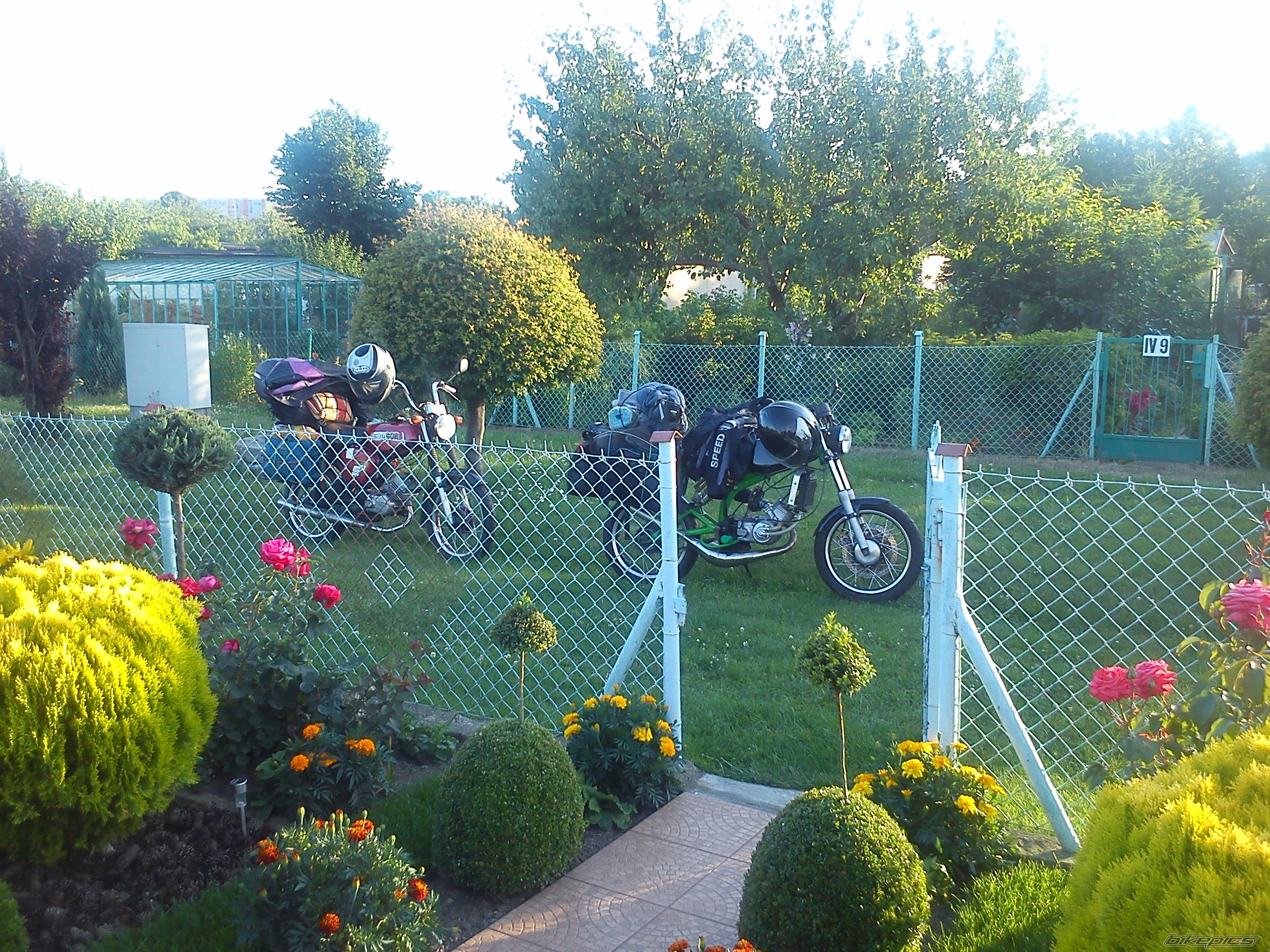 Photo 2576040