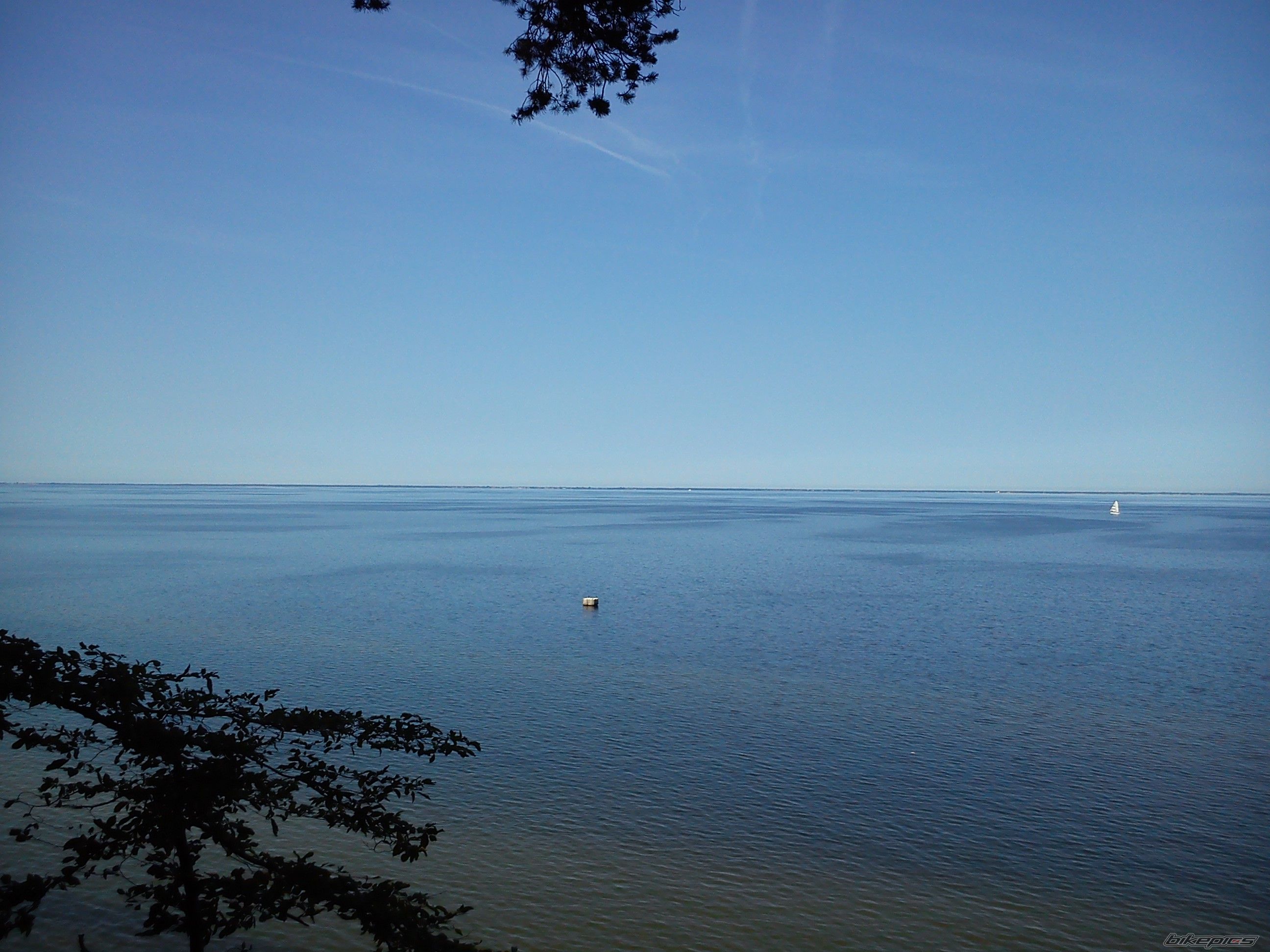 Photo 2576048
