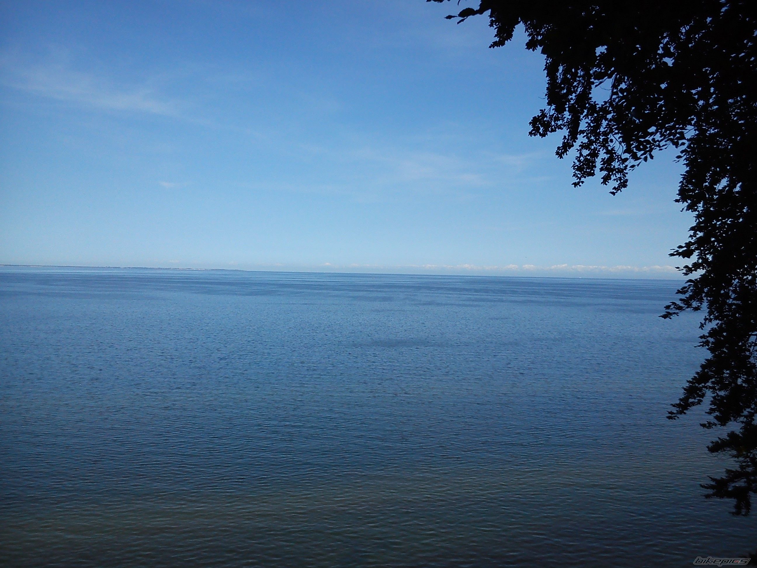 Photo 2576050