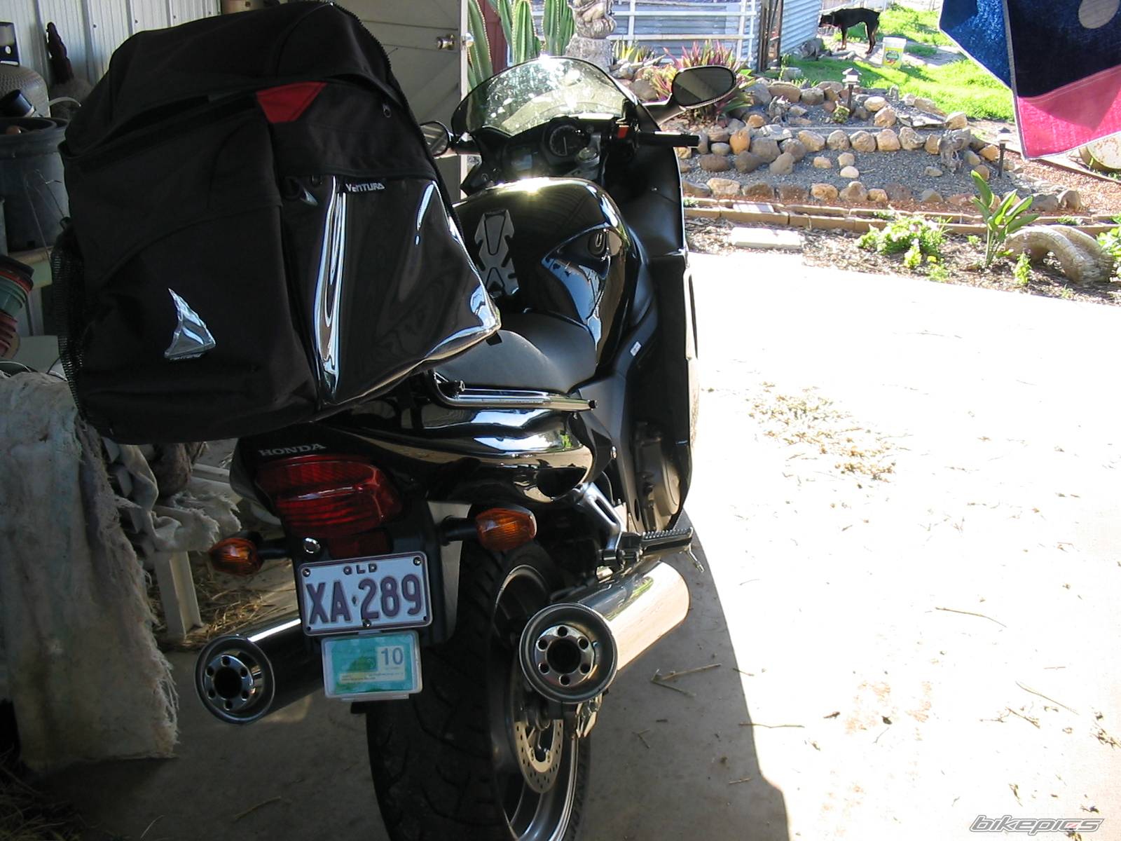 Photo 257606