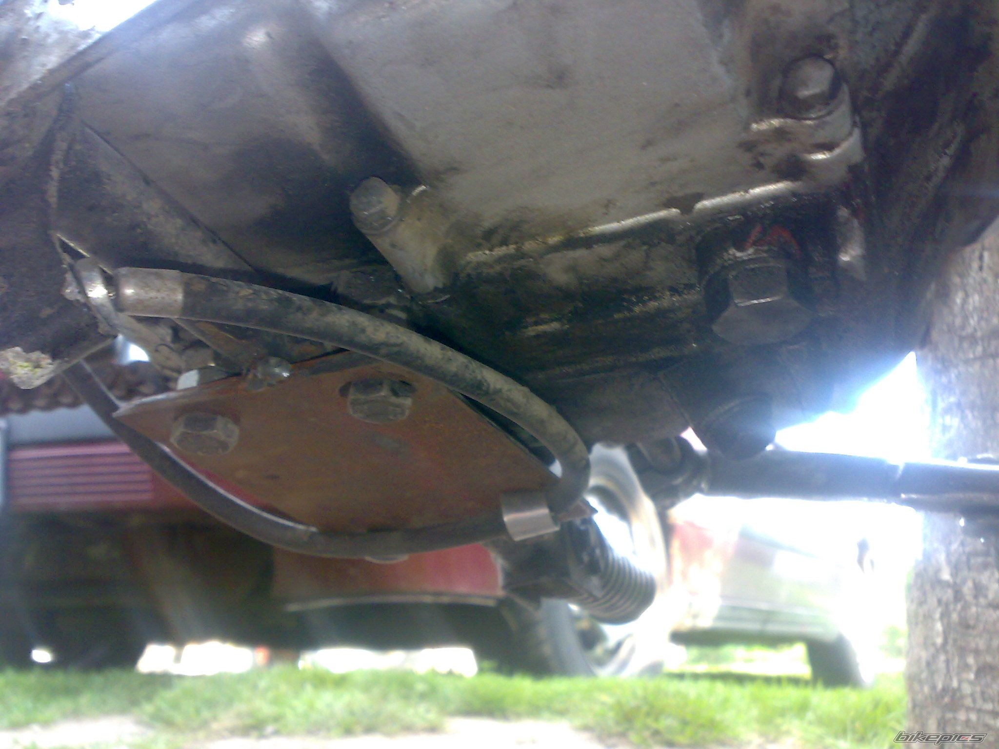 Photo 2576153