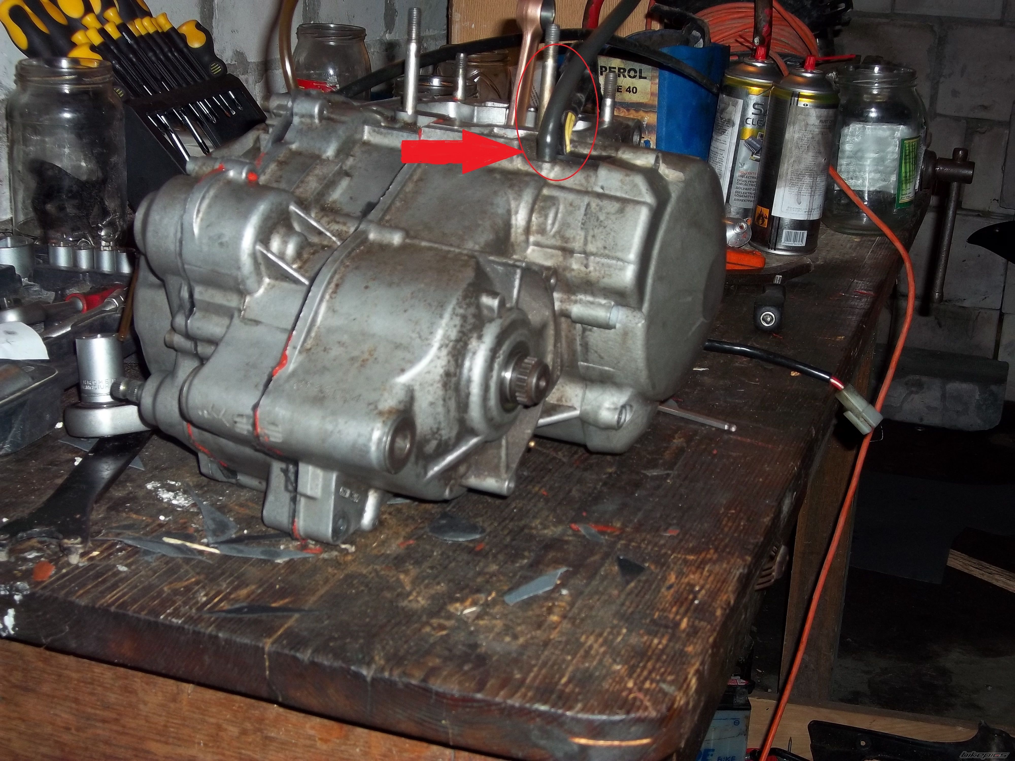Photo 2576270
