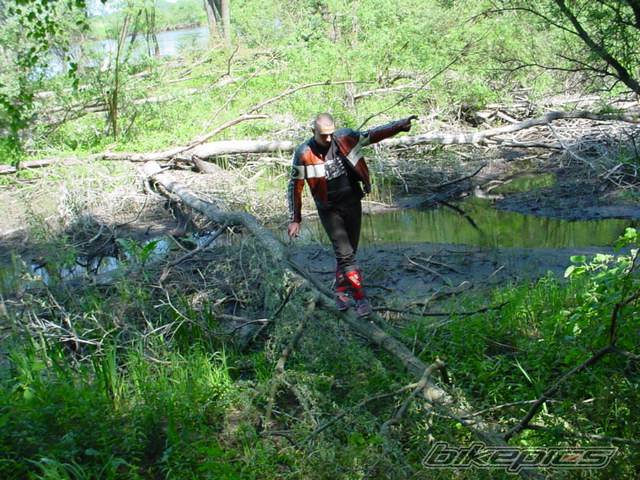 Photo 25763