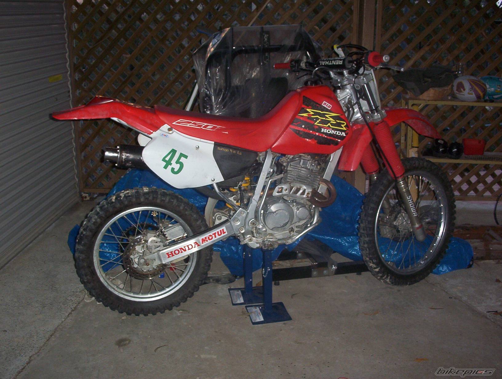 Photo 257631