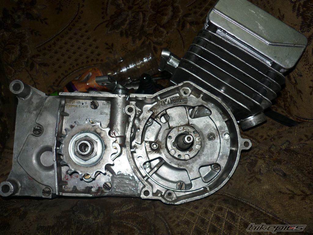 Photo 2576313