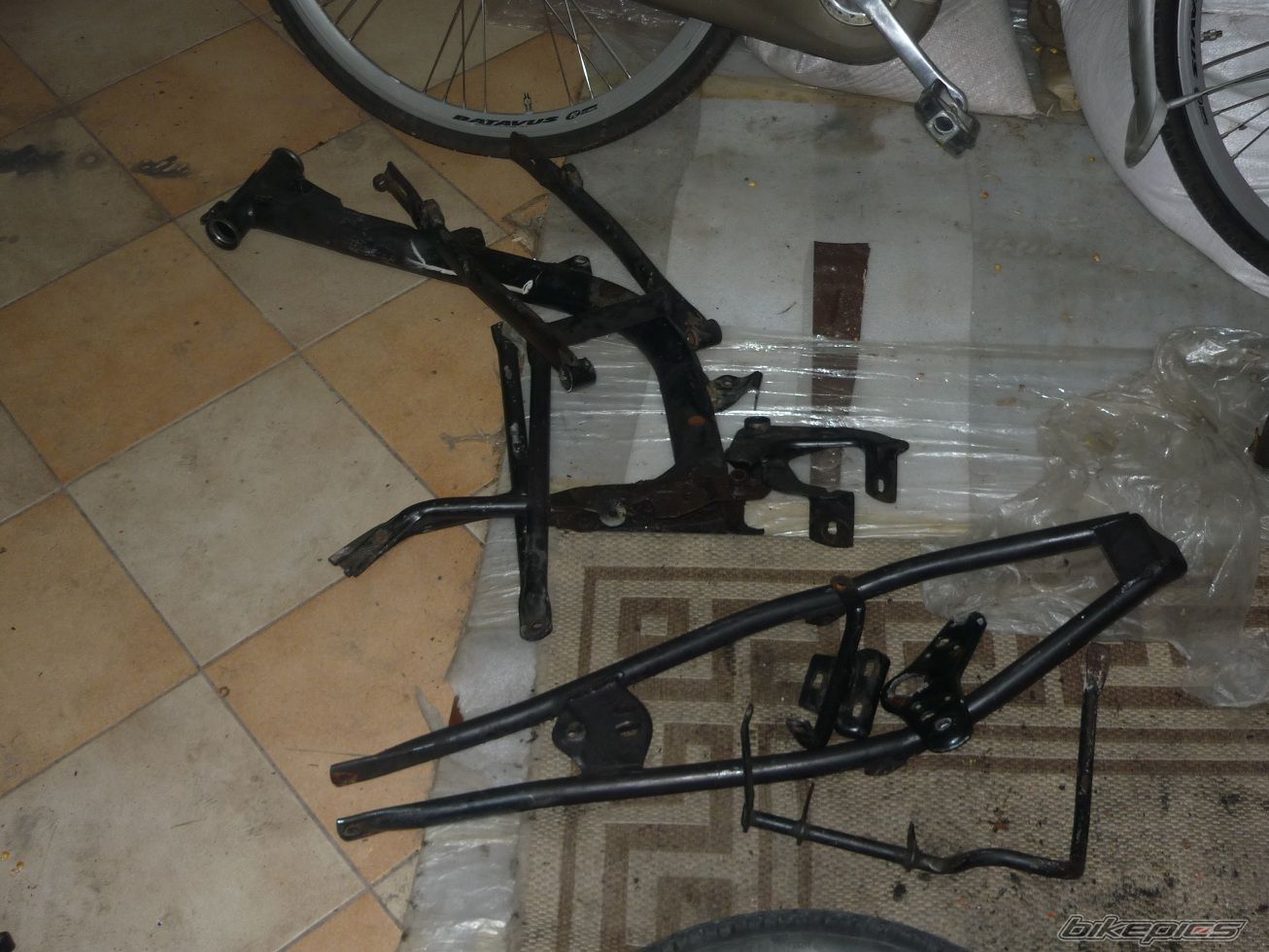Photo 2576333