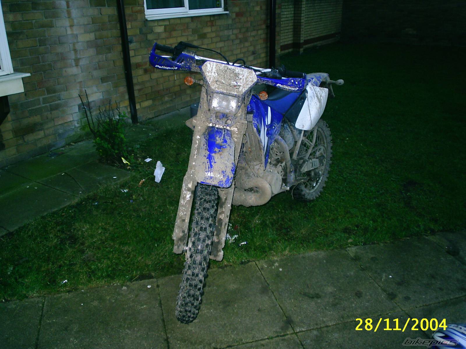Photo 257637
