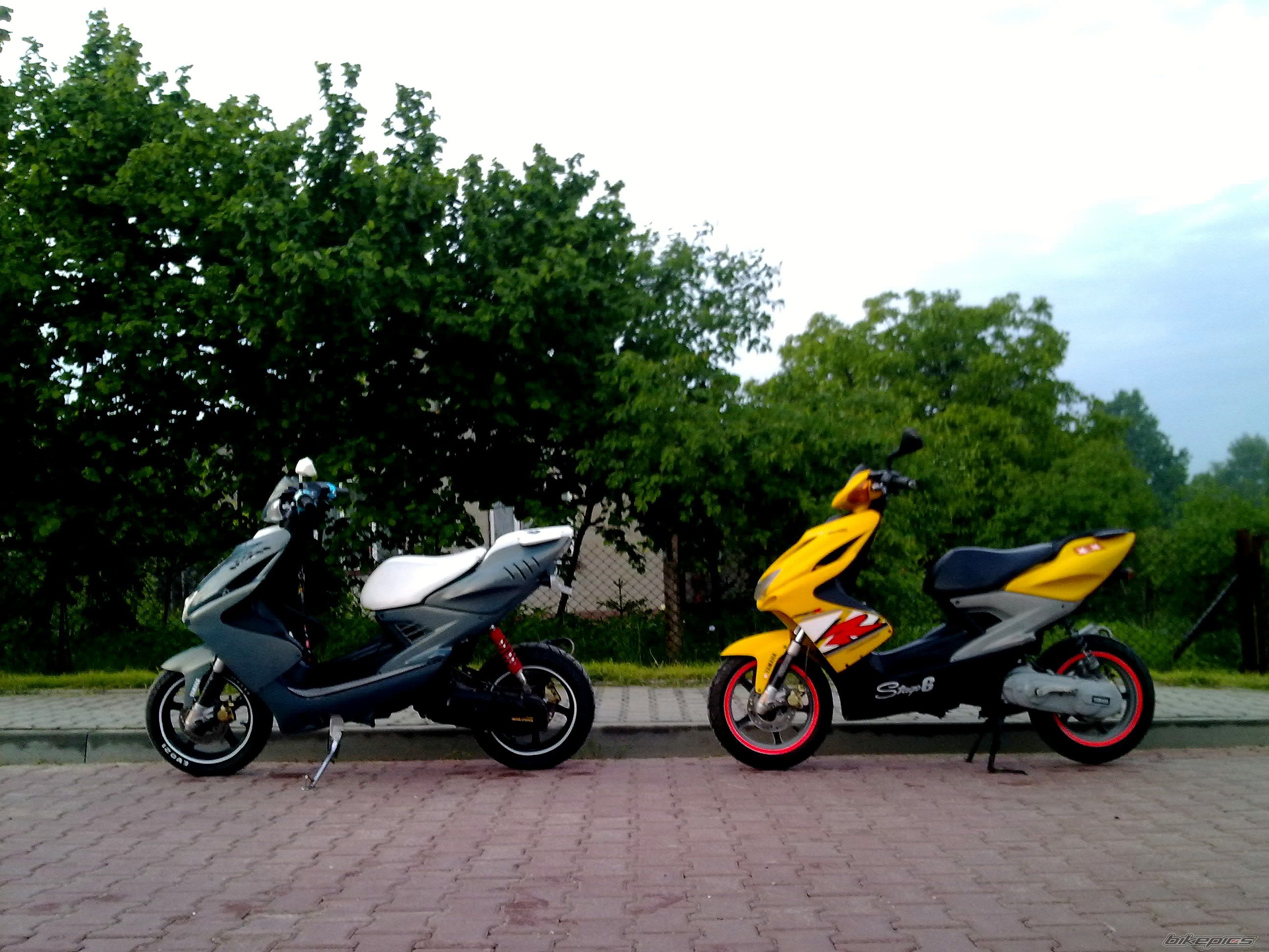 Photo 2576414