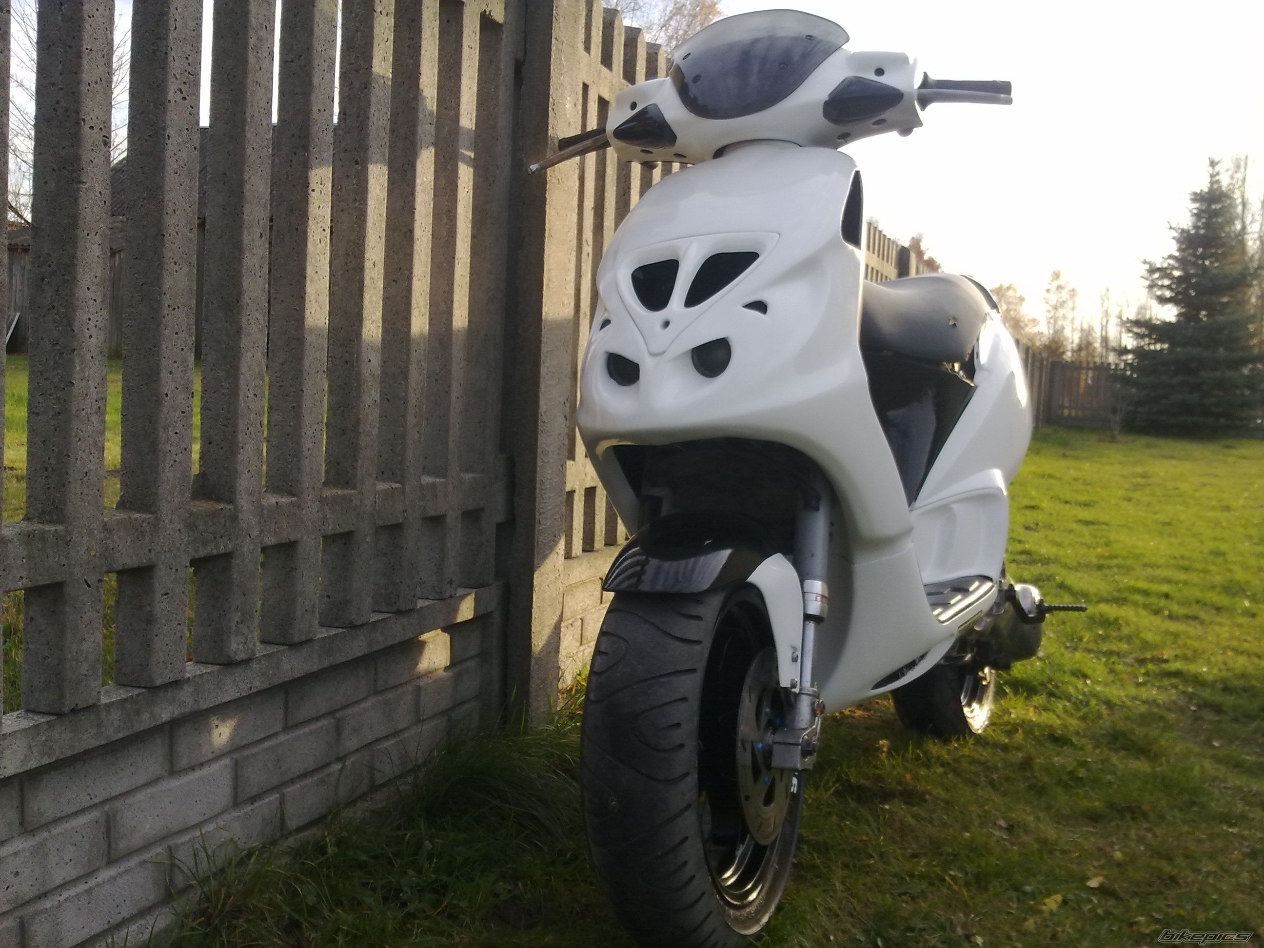 Photo 2576429