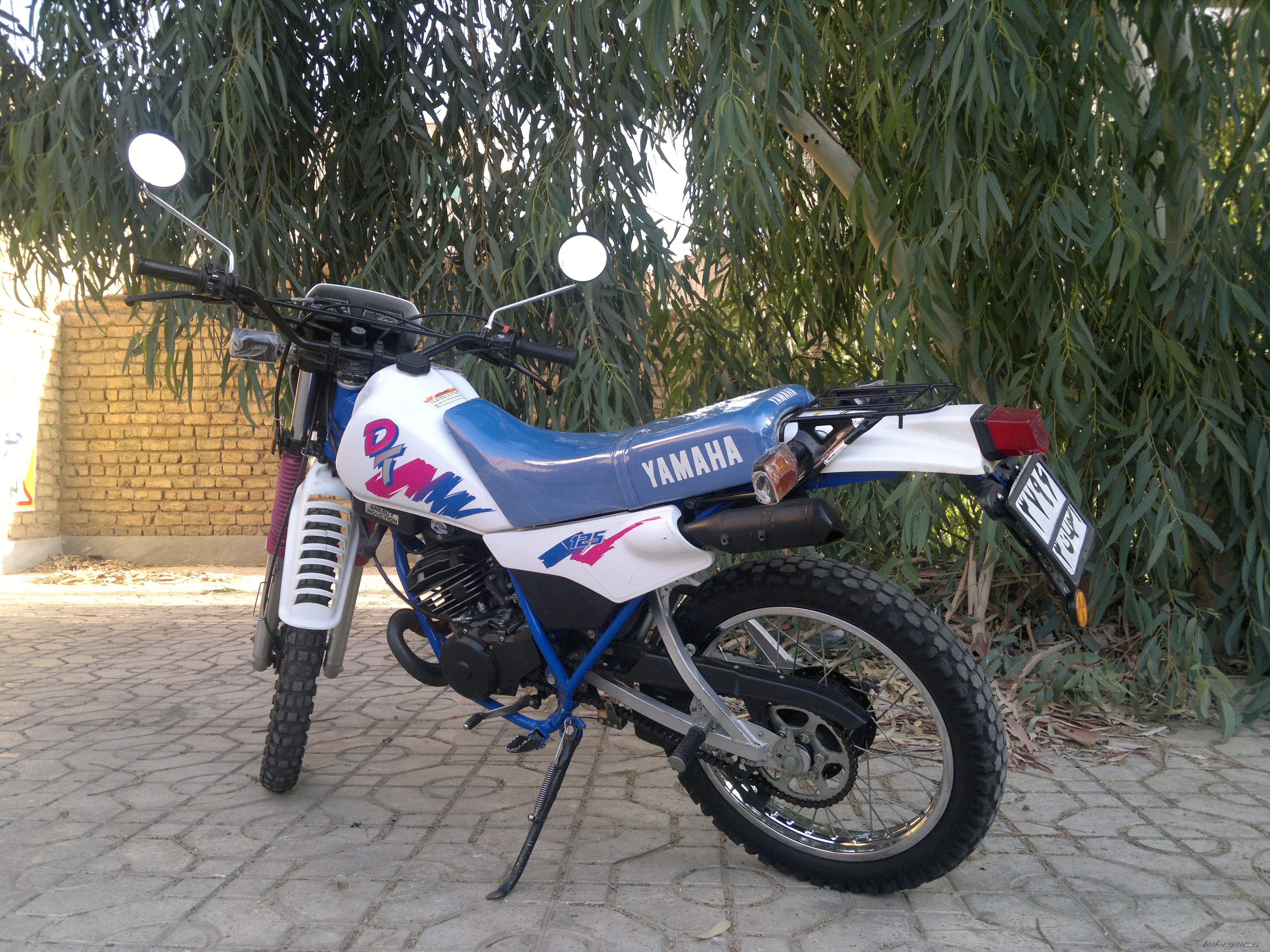 Photo 2576495