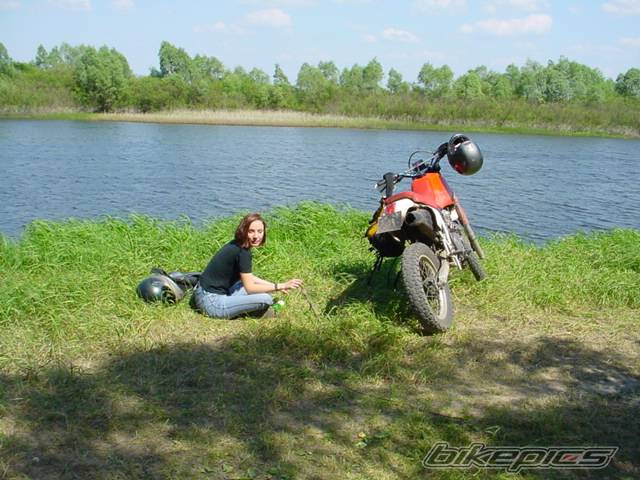 Photo 25766