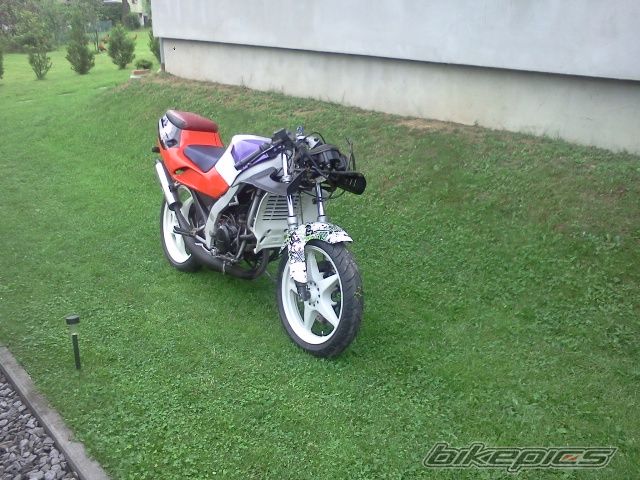Photo 2576613