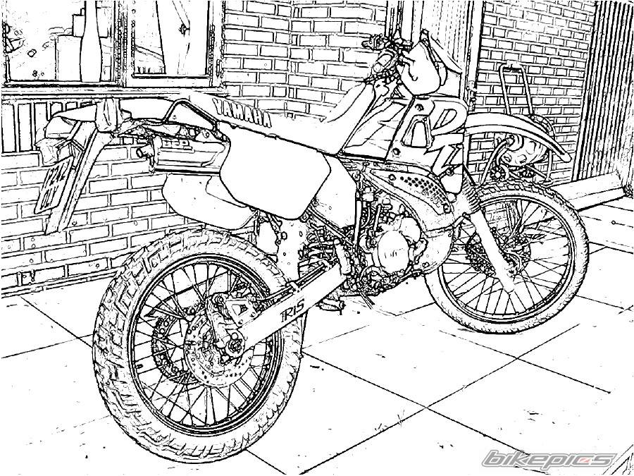 Bike Photo 257663