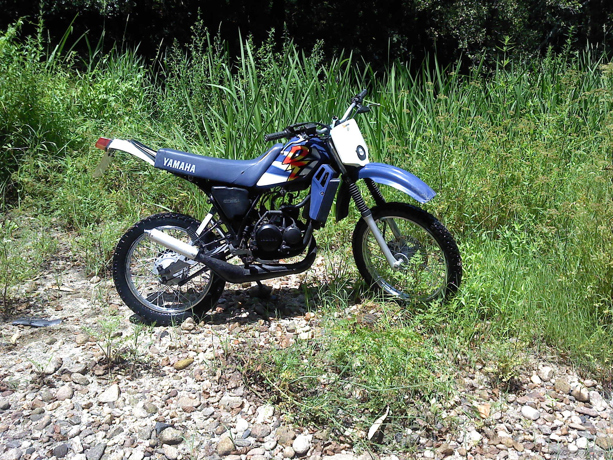 Photo 2576641