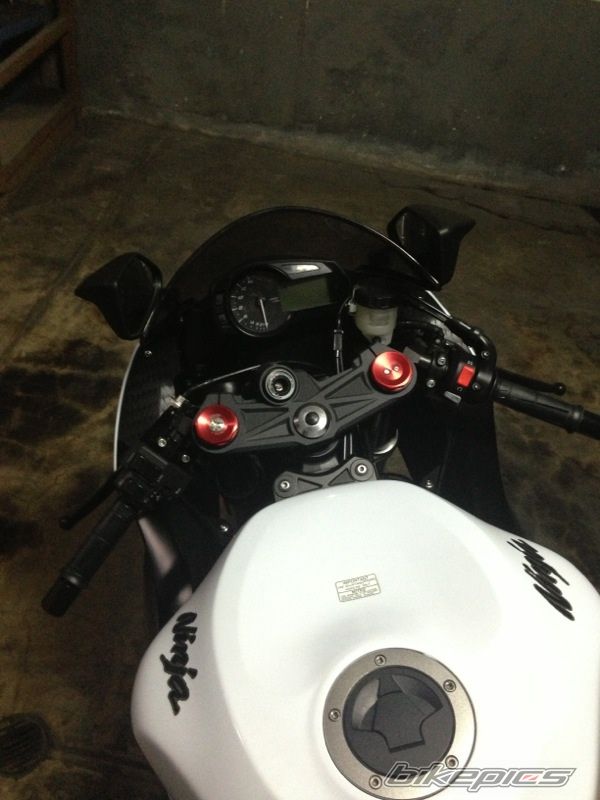 Photo 2576664
