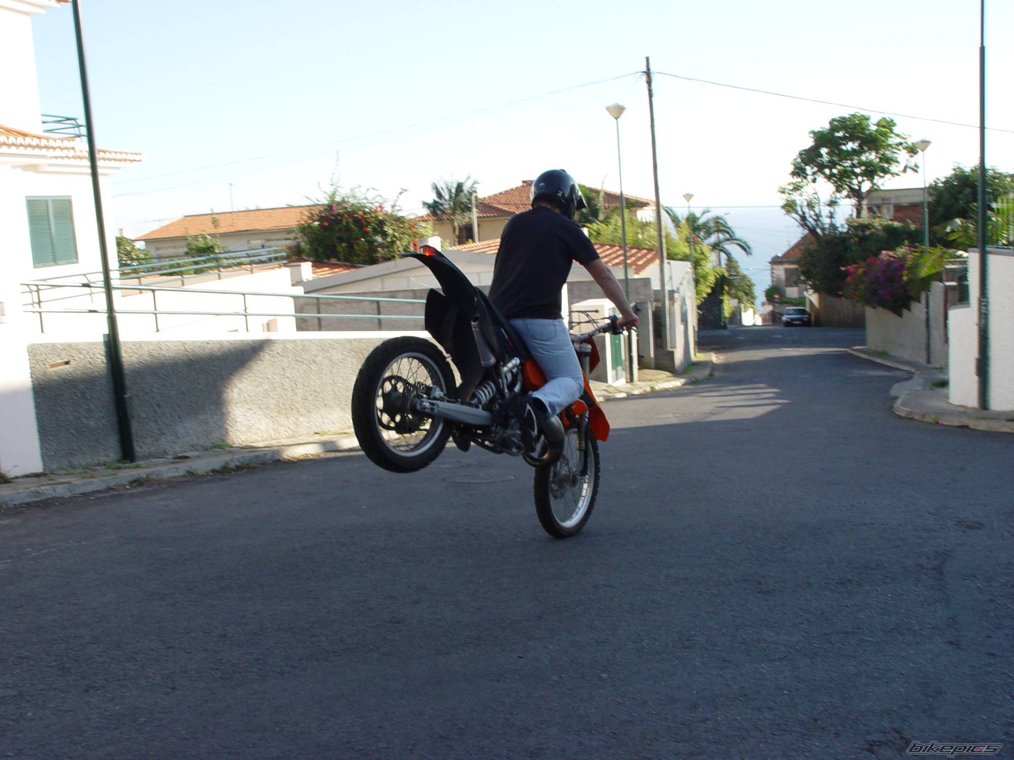 Photo 257667