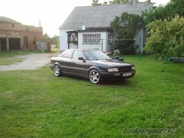 Photo 2576677