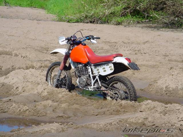 Photo 25767