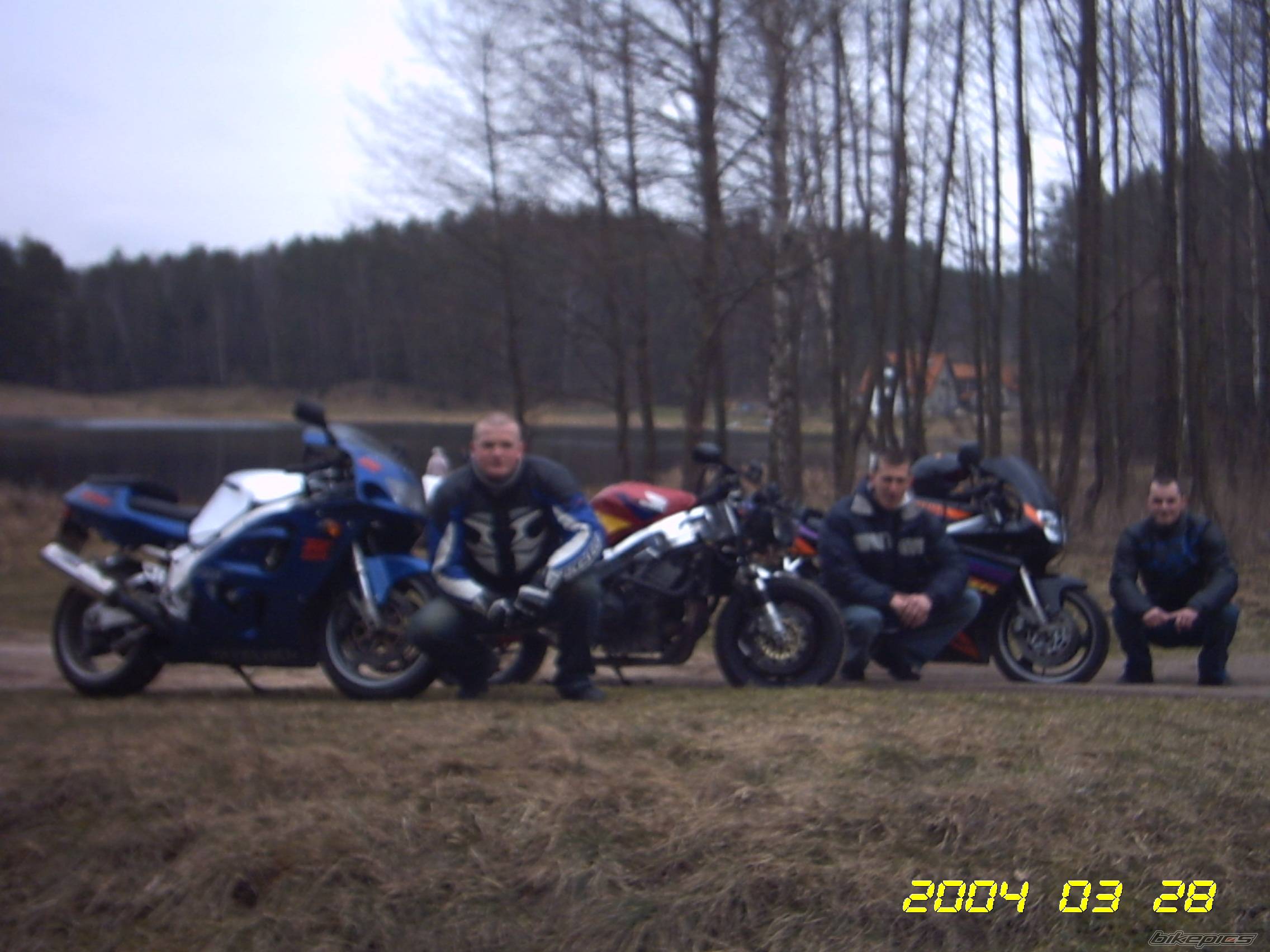 Photo 257678