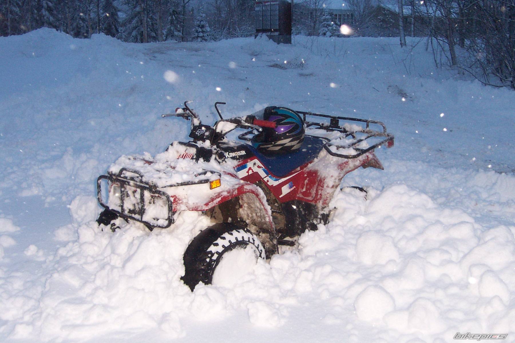 Photo 257679