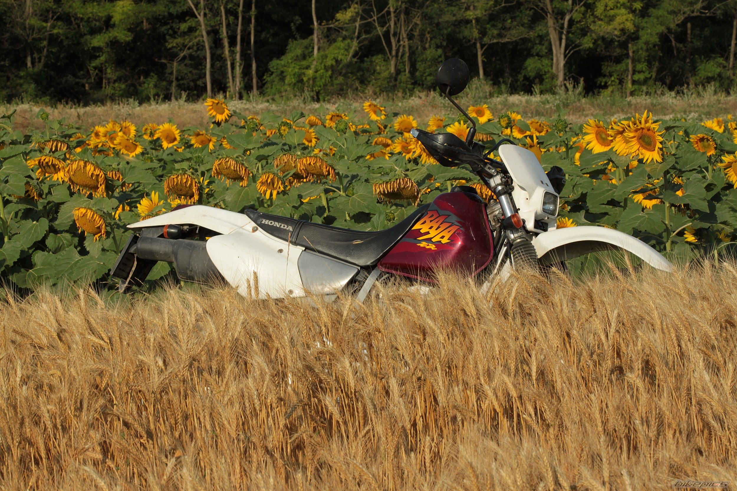 Bike Photo 2576800