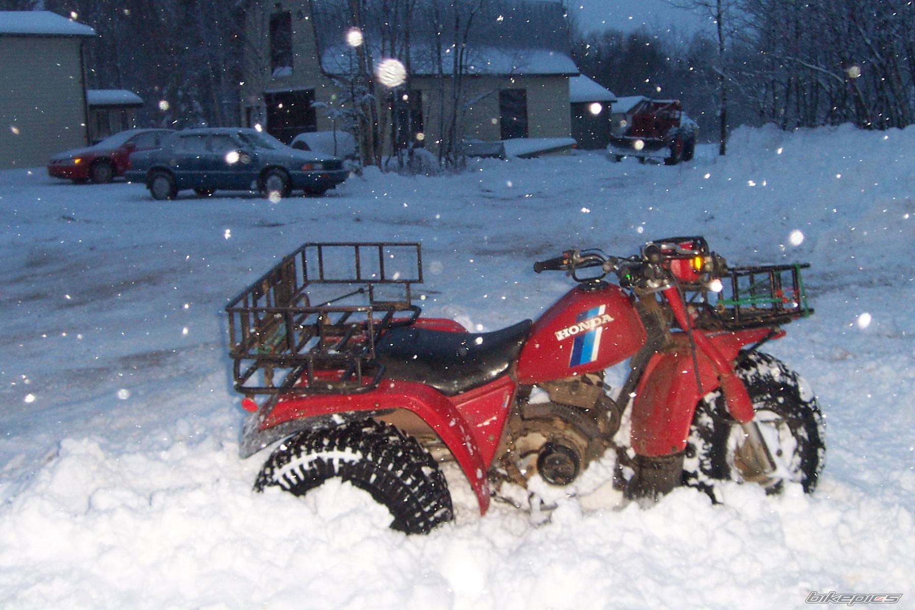 Photo 257682