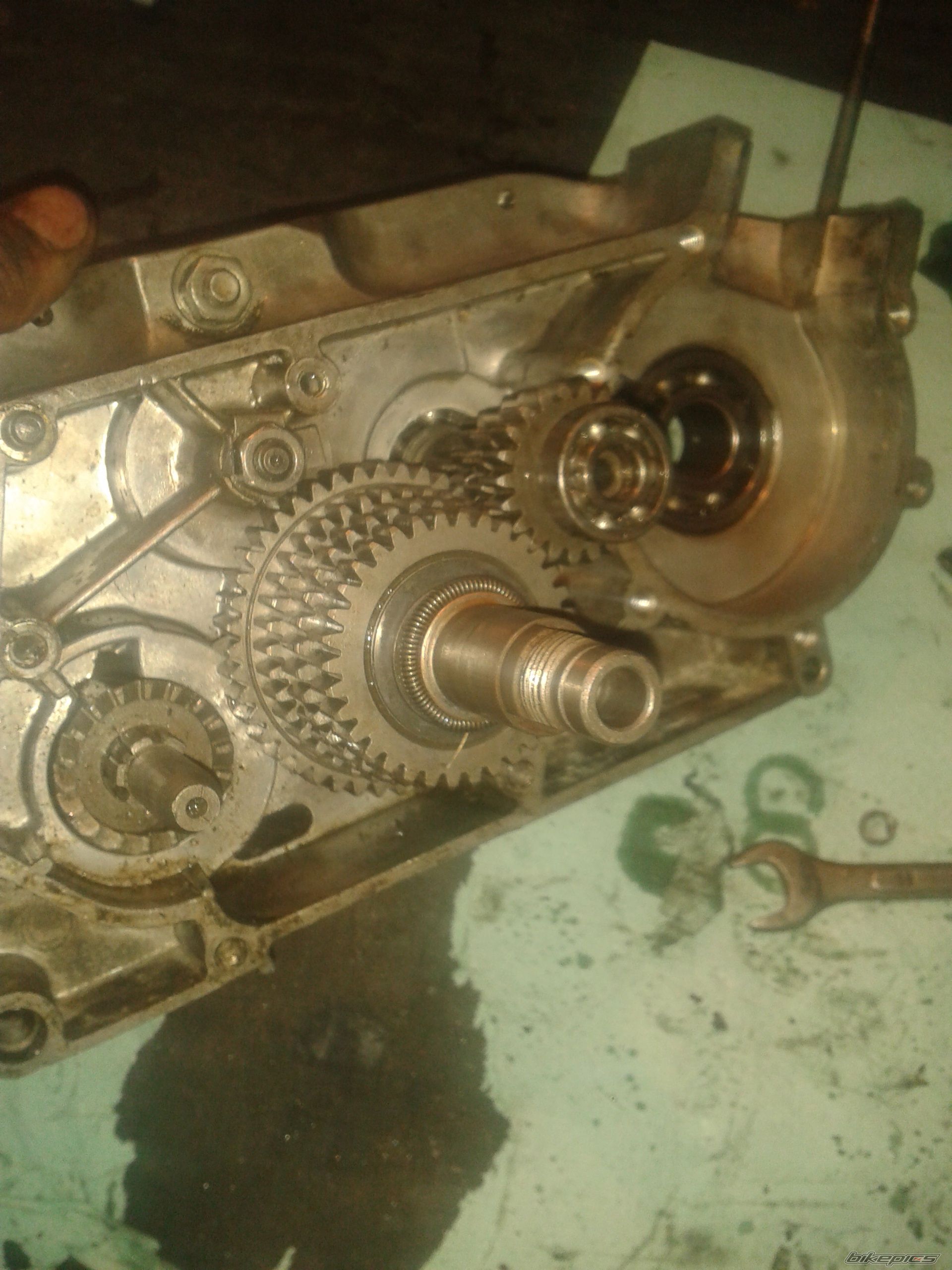 Photo 2576849
