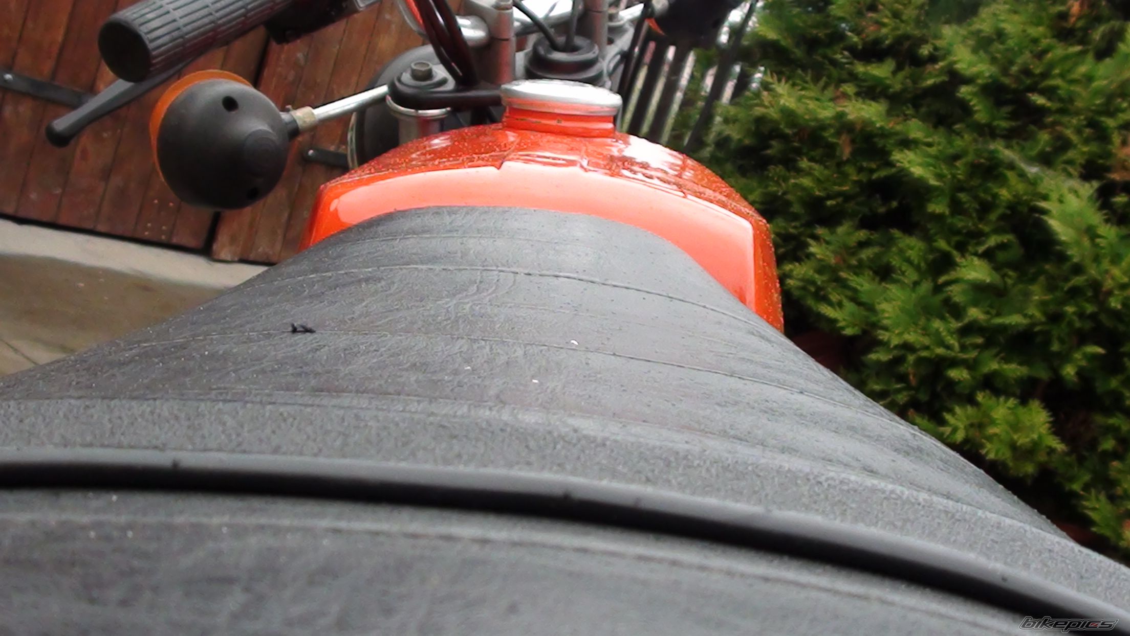 Photo 2576889