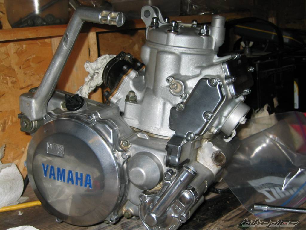Photo 257698