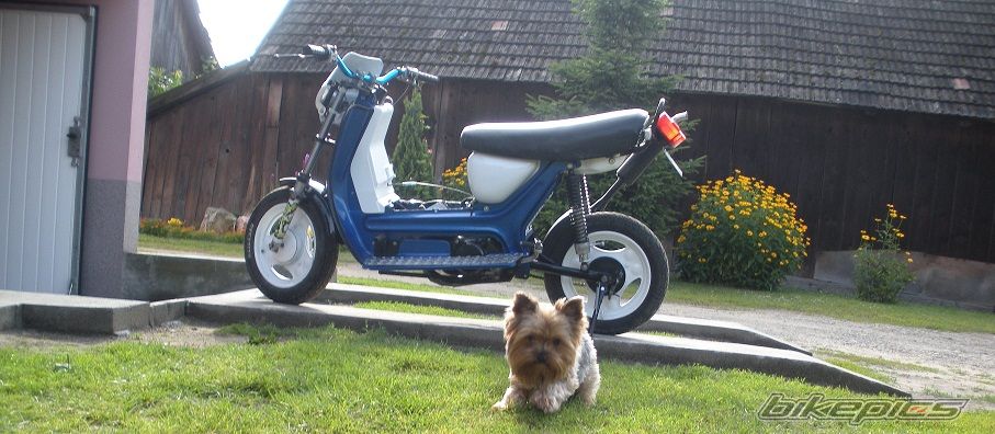 Photo 2577087