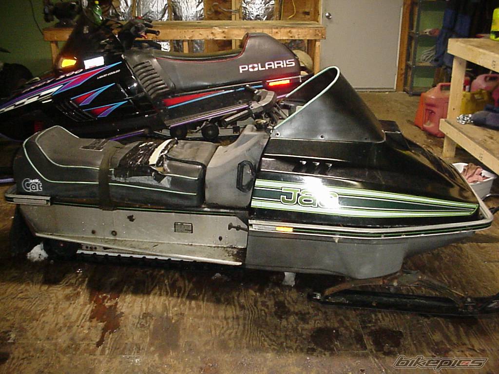 Photo 257716