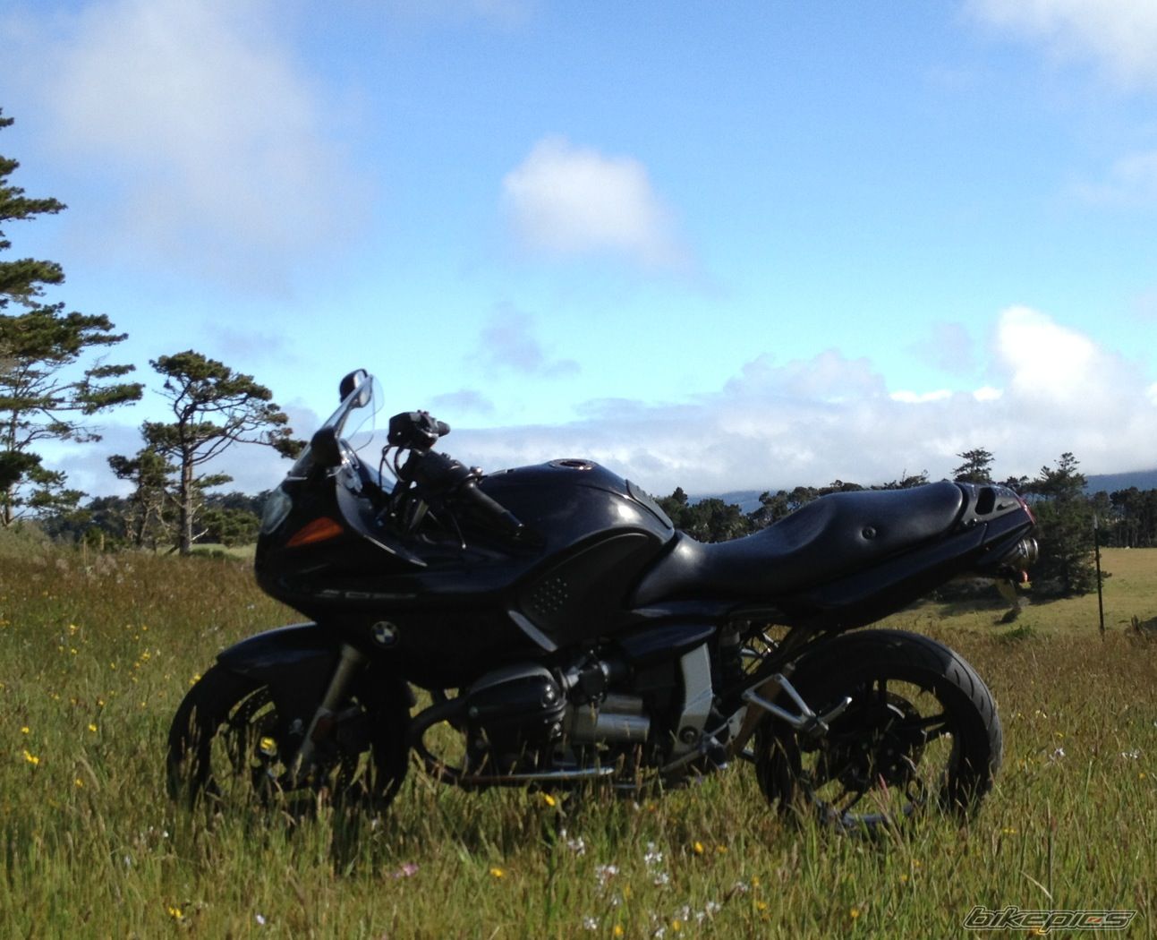 Photo 2577193