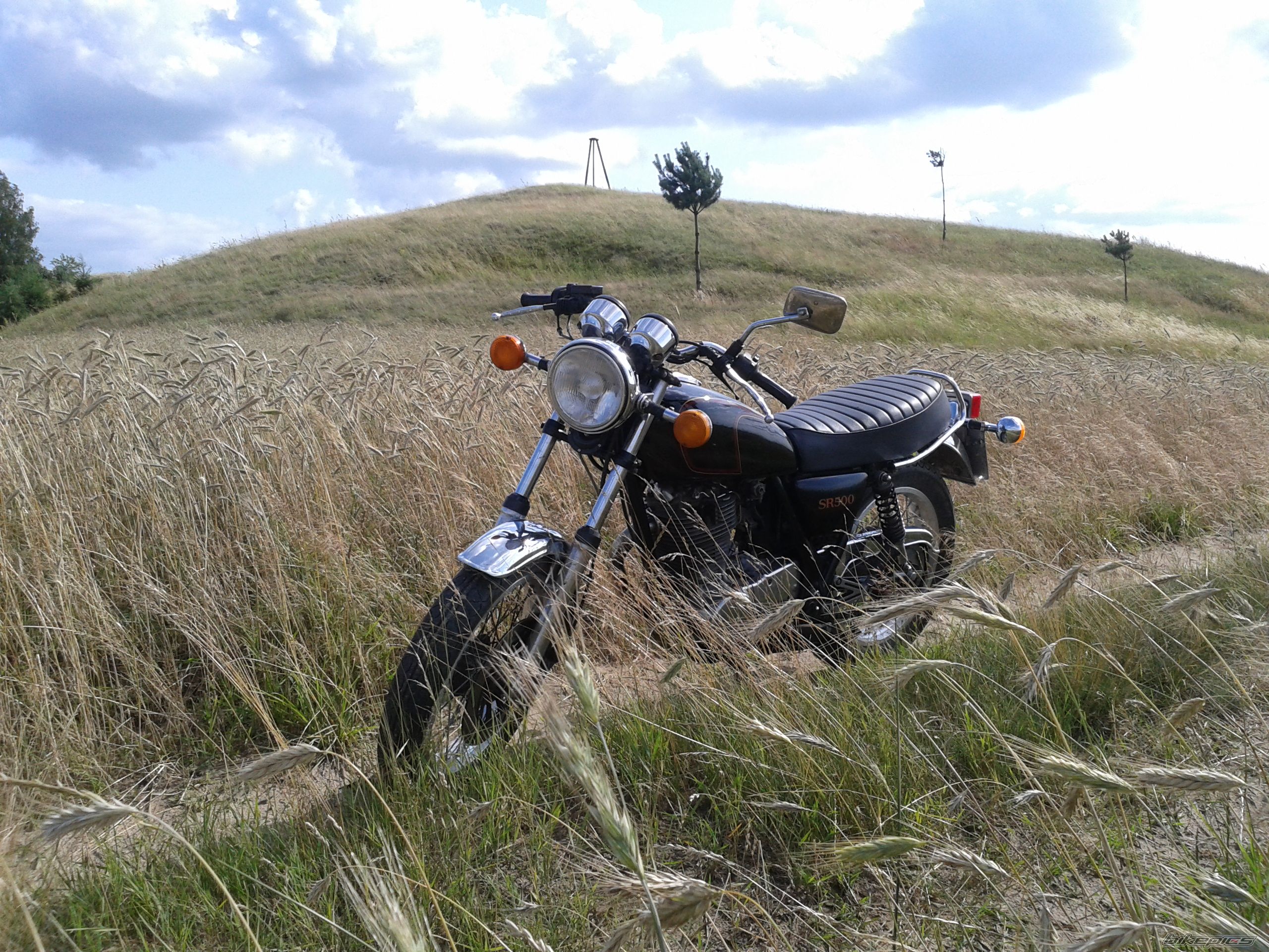 Photo 2577258