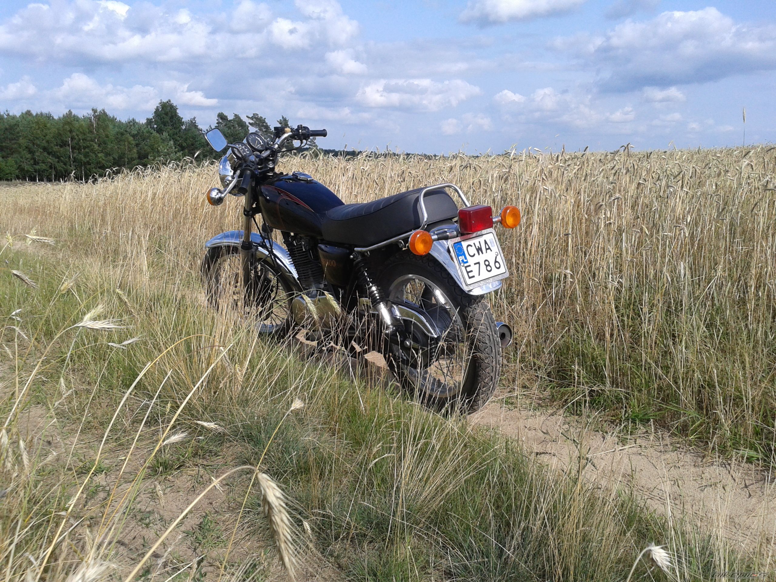 Photo 2577259