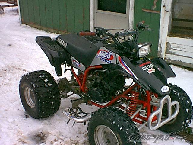 Photo 257748